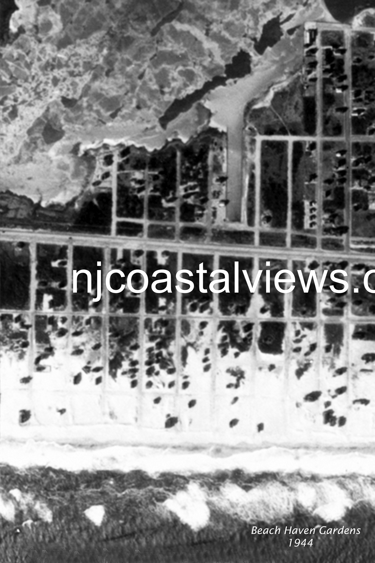 Beach Haven Gardens 1944